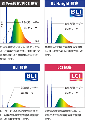 画像強調観察