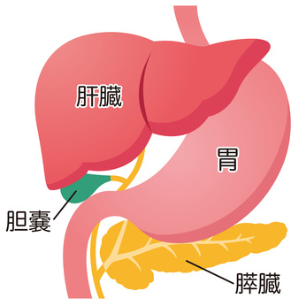 肝臓内科